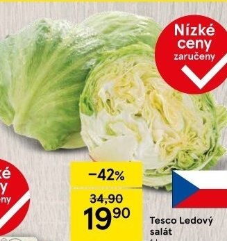 Salát ledový Tesco