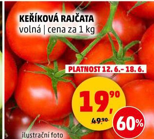 Rajčata keříková