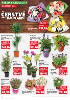akční leták Kaufland 18.6.2025-24.6.2025