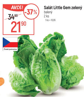 Salát little gem