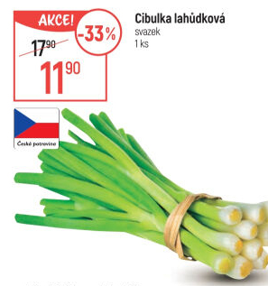 Jarní cibule svazek