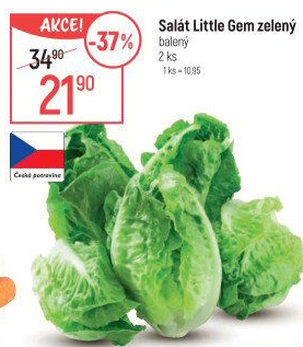 Salát little gem