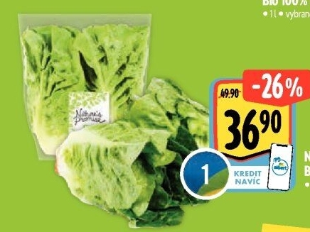 Salát little gem bio Nature'