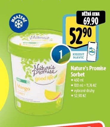 Nature's Promise Sorbet
