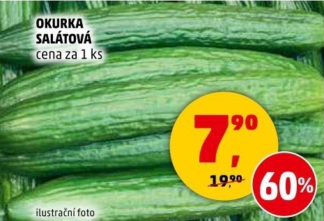 Okurka salátová - hadovka