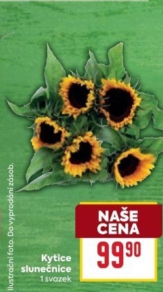 Řezané slunečnice