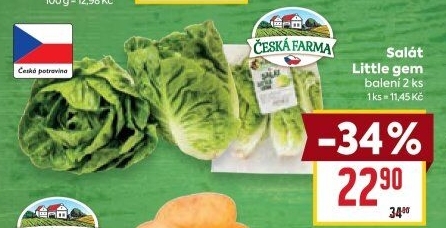 Salát little gem Česká farma