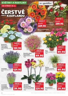 akční leták Kaufland 25.6.2025-1.7.2025