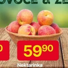 Nektarinka