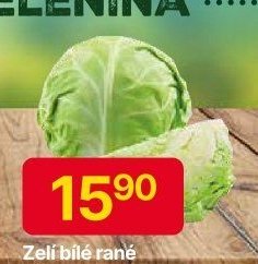 Zelí bílé rané