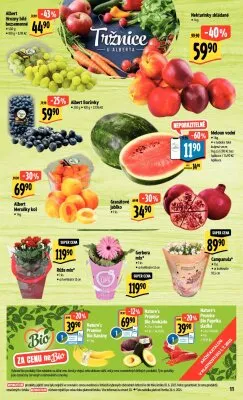 akční leták Albert 25.6.2025-1.7.2025