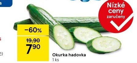Okurka salátová - hadovka
