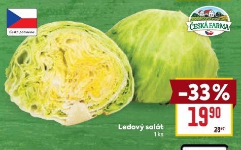 Salát ledový Česká farma