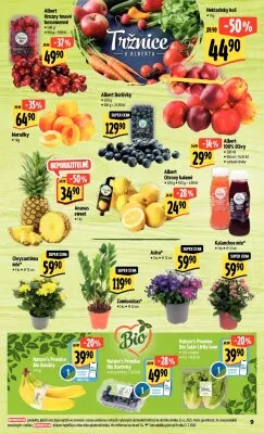 akční leták Albert 2.7.2025-8.7.2025