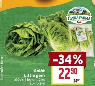 Salát little gem Česká farma