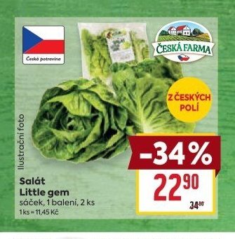 Salát Little gem