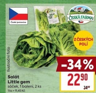 Salát little gem Česká farma