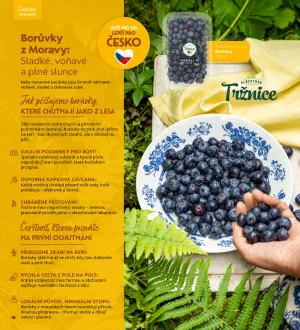 akční leták Albert 2.7.2025-2.9.2025