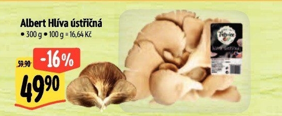 Hlíva ústřičná Albert