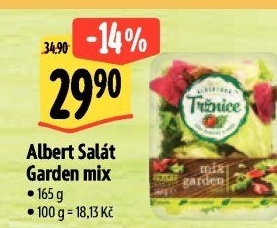 Salát Garden mix Albert