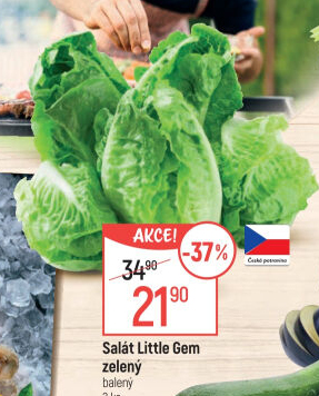 Salát little gem