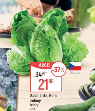 Salát Little Gem zelený