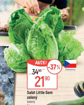 Salát little gem