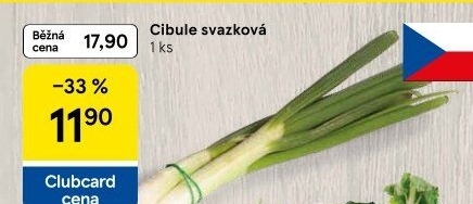 Jarní cibule svazek