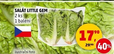 Salát little gem