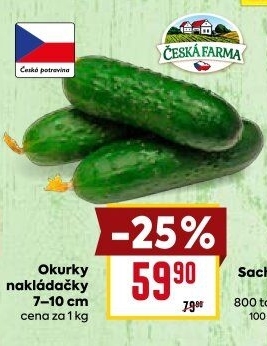 Okurky nakládačky Česká farma
