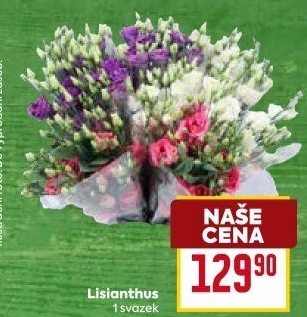 Řezaný Lisianthus
