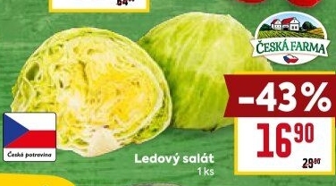 Salát ledový Česká farma