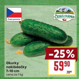 Okurky nakládačky Česká farma