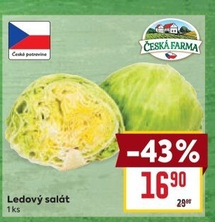 Salát ledový Česká farma