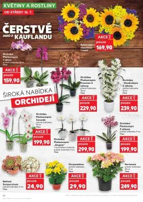 akční leták Kaufland 16.7.2025-22.7.2025