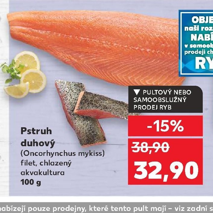 Pstruh duhový