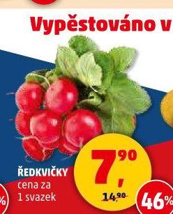 Ředkvičky svazek