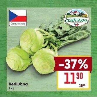 Kedlubna