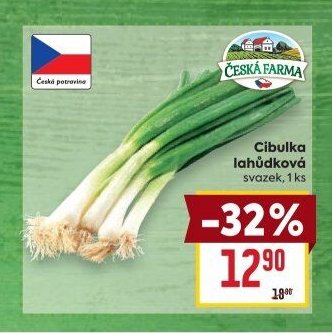 Cibulka lahůdková