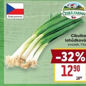 Jarní cibule svazek Česká farma
