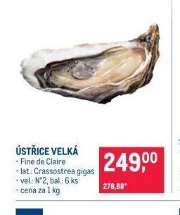 Ústřice velká
