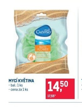 MYCÍ KVĚTINA