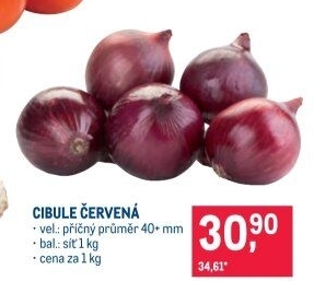 Cibule červená
