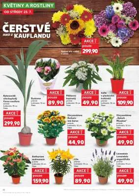 akční leták Kaufland 23.7.2025-29.7.2025