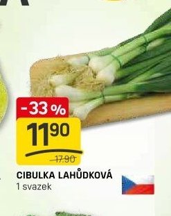 CIBULKA LAHŮDKOVÁ