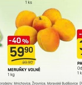 MERUŇKY VOLNÉ