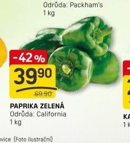 PAPRIKA ZELENÁ