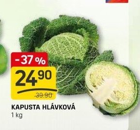 KAPUSTA HLÁVKOVÁ