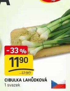 Jarní cibule svazek