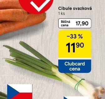 Jarní cibule svazek